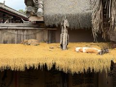 -田德能咖啡博物馆