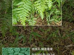 -海安新港(公交站)