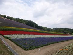 -富田农场