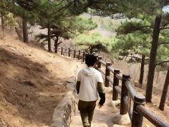-北京十三陵国家森林公园蟒山景区