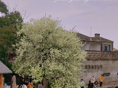 -东钱湖小普陀景区