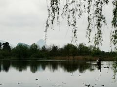 -会仙湿地