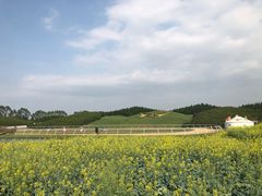-迪茵湖田家舍生态农场