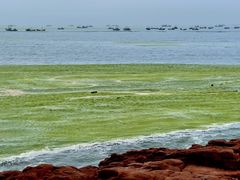 -青岛第三海水浴场