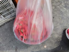 -上海农产品中心批发市场-停车场