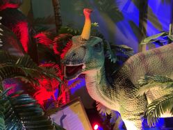 -恐龙探索乐园(磁器口店)