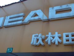 -Wilson威尔胜(漕溪北路店)