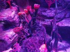 -沈阳海洋探索中心