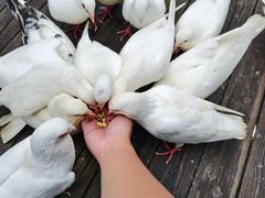 -南昌动物园