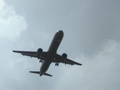 -空港花田景区