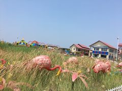 -月坨岛华清月府温泉酒店