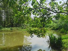 -桤木河湿地公园