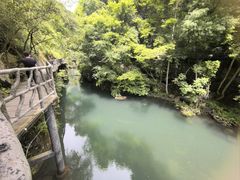 -石台牯牛降景区