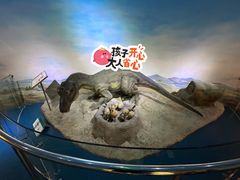 -国家自然博物馆