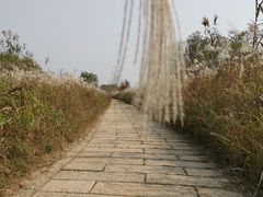 -仙山湖景区