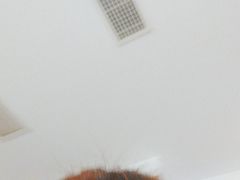 -二荆条·城市森林火锅旗舰店