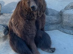 -北京野生动物园