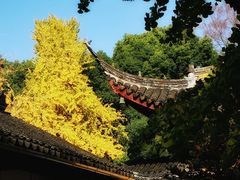 -西园戒幢律寺