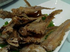 -张生记(双菱店)