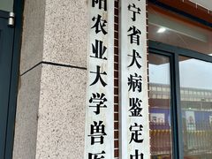 -派美特宠物医院·核磁CT·骨科肿瘤·疑难转诊(沈农禾丰店)