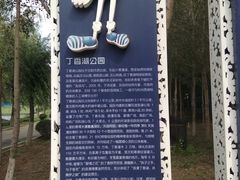 -丁香湖公园