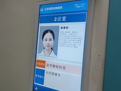 -北京观赏动物医院·24小时大型综合·猫专科·异宠专科