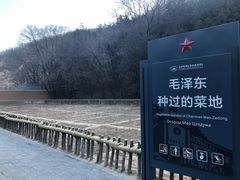 -延安杨家岭革命旧址