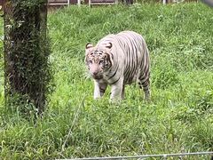 -秦皇岛野生动物园