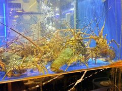 -喜聚薈·花膠雞海鮮火鍋(越秀店)