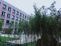 -金陵中学(河西分校)
