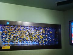 -成都浩海立方海洋公园