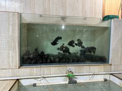 -海盗餐厅
