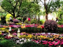 -共青国家森林公园-售票处