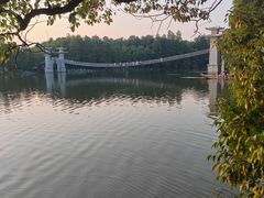 -东湖落雁景区