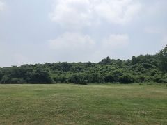 -羊山湖公园