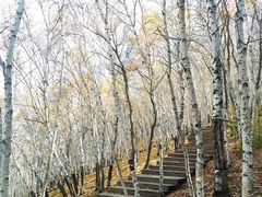 -塞罕坝国家级自然保护区