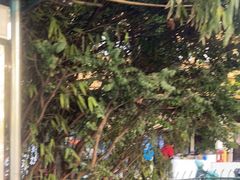 -凡老头米线砂锅(古荡新村西粮站)