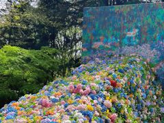 -上海共青森林公园