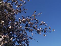 -海棠花溪(元大都城垣遗址公园)