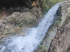 -南海湾森林生态园