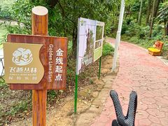 -大雁山风景区