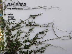 -AHAVA·Fang Baking Studio