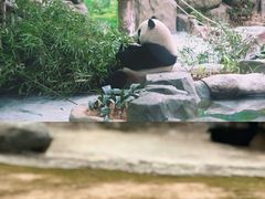 -灵玲国际马戏城