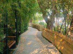-北京积水潭医院(回龙观院区)