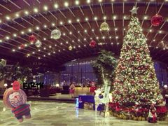 -苏州金鸡湖中茵皇冠假日酒店