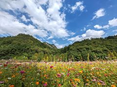 -贵阳市花溪国家城市湿地公园