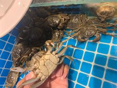 -万象·复兴号鲜肉烤肉海鲜自助(升级店)