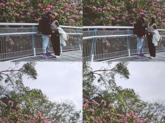 -广州雕塑公园