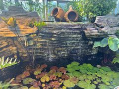 -国家植物园南园