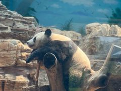 -石家庄市动物园